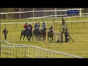Video preview image for Warwick 20:05 - Bam Construction Handicap Hurdle