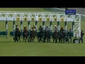 Video preview image for Redcar 16:30 - Gr Racing Is Backing Barney Median Auction Maiden Stakes