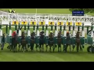 Video preview image for York 16:10 - ripleycollection.com E.B.F. Novice Stakes