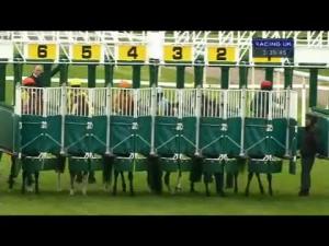 Video preview image for York 15:35 - British Stallion Studs Supporting British Racing E.B.F. Sprint Conditions Stakes