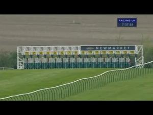 Video preview image for Newmarket 19:35 - Chassis Cab Daf 30th Anniversary Maiden Stakes (Div 2)