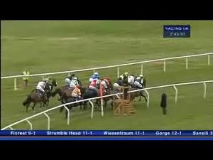 Video preview image for Ludlow 19:45 - Cheese Warehouse Ltd Handicap Hurdle