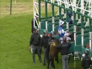 Video preview image for Newbury 15:10 - Luck Greayer Bloodstock Shipping Fillies' Conditions Stakes