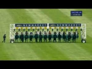 Video preview image for Newmarket 16:30 - Robert Catton's 70th Birthday Maiden Fillies' Stakes