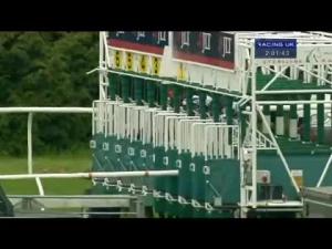Video preview image for Newbury 14:00 - Jlt Aston Park Stakes (Listed)