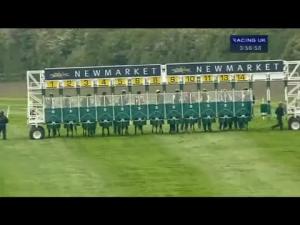 Video preview image for Newmarket 15:55 - Cheap Broadband At poptelecom.co.uk Handicap