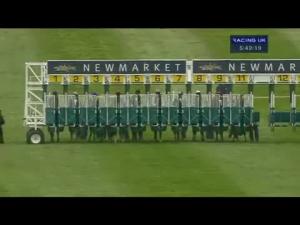 Video preview image for Newmarket 17:40 - poptelecom.co.uk Cheap International Calls Handicap