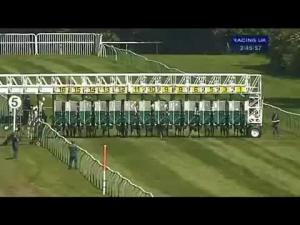Video preview image for Nottingham 14:45 - Warren Board New Dimension Handicap