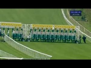 Video preview image for Goodwood 15:10 - Wright Joinery Company Handicap