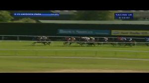 Video preview image for Haydock Park 17:15 - Taylormade Betting Handicap