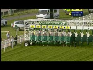 Video preview image for Sandown Park 18:30 - Tellisford Handicap