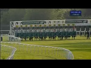Video preview image for Sandown Park 19:05 - Fernox Tf1 Handicap