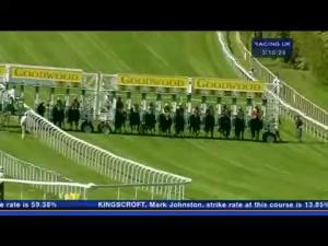 Video preview image for Goodwood 15:10 - Willis Lease Finance Corporation Handicap
