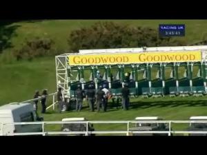 Video preview image for Goodwood 15:45 - Casco Cocked Hat Stakes (Listed)
