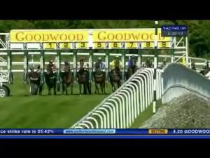 Video preview image for Goodwood 16:20 - Iba Handicap