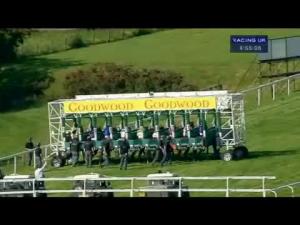 Video preview image for Goodwood 16:55 - Turftv Bonus Handicap