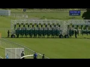 Video preview image for York 16:50 - Federation Of Bloodstock Agents Handicap