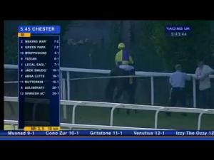 Video preview image for Chester 17:45 - Beefeater Handicap (Div 1)