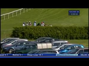 Video preview image for Kelso 16:25 - Border Facilities Novices' Handicap Hurdle