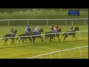 Video preview image for Huntingdon 19:55 - George Hay Accountants Novices' Hurdle