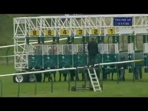 Video preview image for Ayr 16:10 - Best Odds At betvictor.com Fillies' Handicap