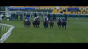 Video preview image for Sandown Park 20:25 - Betfair Heron Stakes (Listed)