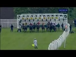 Video preview image for Catterick Bridge 14:15 - Bet Totepool Text Tote To 89660 Median Auction Maiden Stakes