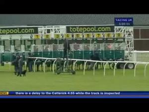 Video preview image for Musselburgh 17:00 - Queen's Jubilee Totequickpick Handicap