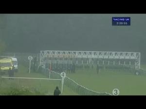 Video preview image for Nottingham 14:20 - British Stallion Studs Supporting British Racing E.B.F. Maiden Stakes