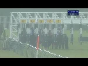 Video preview image for Nottingham 15:20 - Book A Bistro Package In Frankie's Handicap