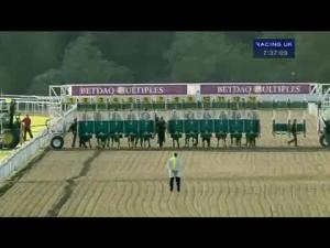 Video preview image for Kempton Park 19:30 - Betdaq Casino Games Handicap