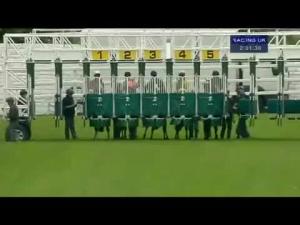 Video preview image for Hamilton Park 14:30 - Lanarkshire Chamber Of Commerce Claiming Stakes