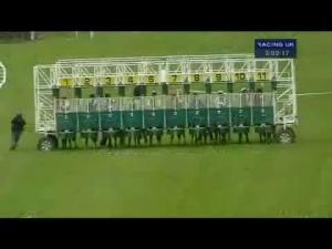 Video preview image for Hamilton Park 15:00 - Weatherbys Bloodstock Insurance Handicap
