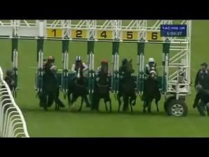 Video preview image for Hamilton Park 17:00 - Read Hayley At racinguk.com Every Friday Handicap