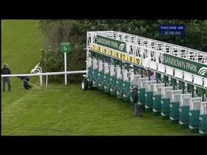 Video preview image for Sandown Park 18:15 - West End Maiden Auction Stakes