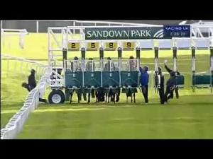 Video preview image for Sandown Park 19:25 - Chelsea Fc Foundation Handicap