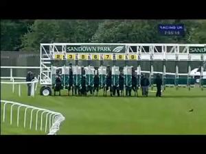 Video preview image for Sandown Park 19:55 - performancepr.com Handicap