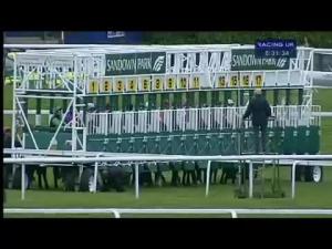 Video preview image for Sandown Park 20:30 - British Stallion Studs Supporting British Racing E.B.F. Maiden Stakes