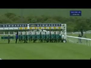 Video preview image for Newmarket 15:55 - Lloyds Tsb Cardnet Handicap