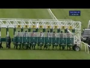 Video preview image for Catterick Bridge 16:20 - 40 Years Of Excellence -  Nags Head Pickhill Maiden Stakes