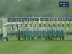 Video preview image for Newmarket 16:30 - Lloyds Tsb For Journey Handicap