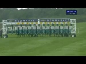 Video preview image for Newmarket 17:40 - Racing UK Handicap