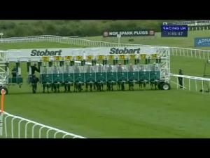 Video preview image for Newmarket 13:45 - Fly London Southend To Belfast E.B.F. Maiden Stakes (Div 1)