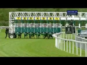 Video preview image for Chester 16:50 - Lambrini Original Handicap