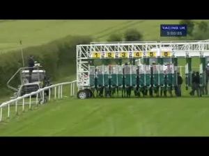 Video preview image for Salisbury 15:00 - Emprise Services Claiming Stakes
