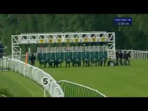 Video preview image for Salisbury 17:35 - Cga Racing Excellence Apprentice Handicap (Whips Shall Be Carried But Not Used)