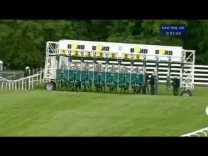 Video preview image for Beverley 14:00 - Jinyu - tyregiant.com Handicap (Div 1)