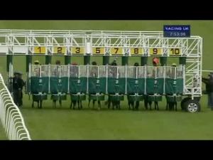 Video preview image for Hamilton Park 19:50 - Tom Jones Live On Friday 6th July Handicap