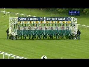 Video preview image for Newbury 14:20 - Outward Bound Trust Maiden Stakes