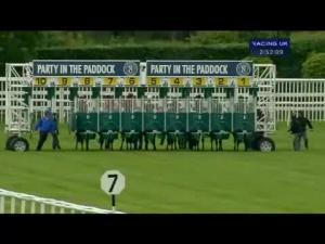 Video preview image for Newbury 14:50 - Pertemps Network Supporting Outward Bound Handicap (Str)